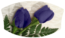 DNSWILL 055 2 Roses Purple